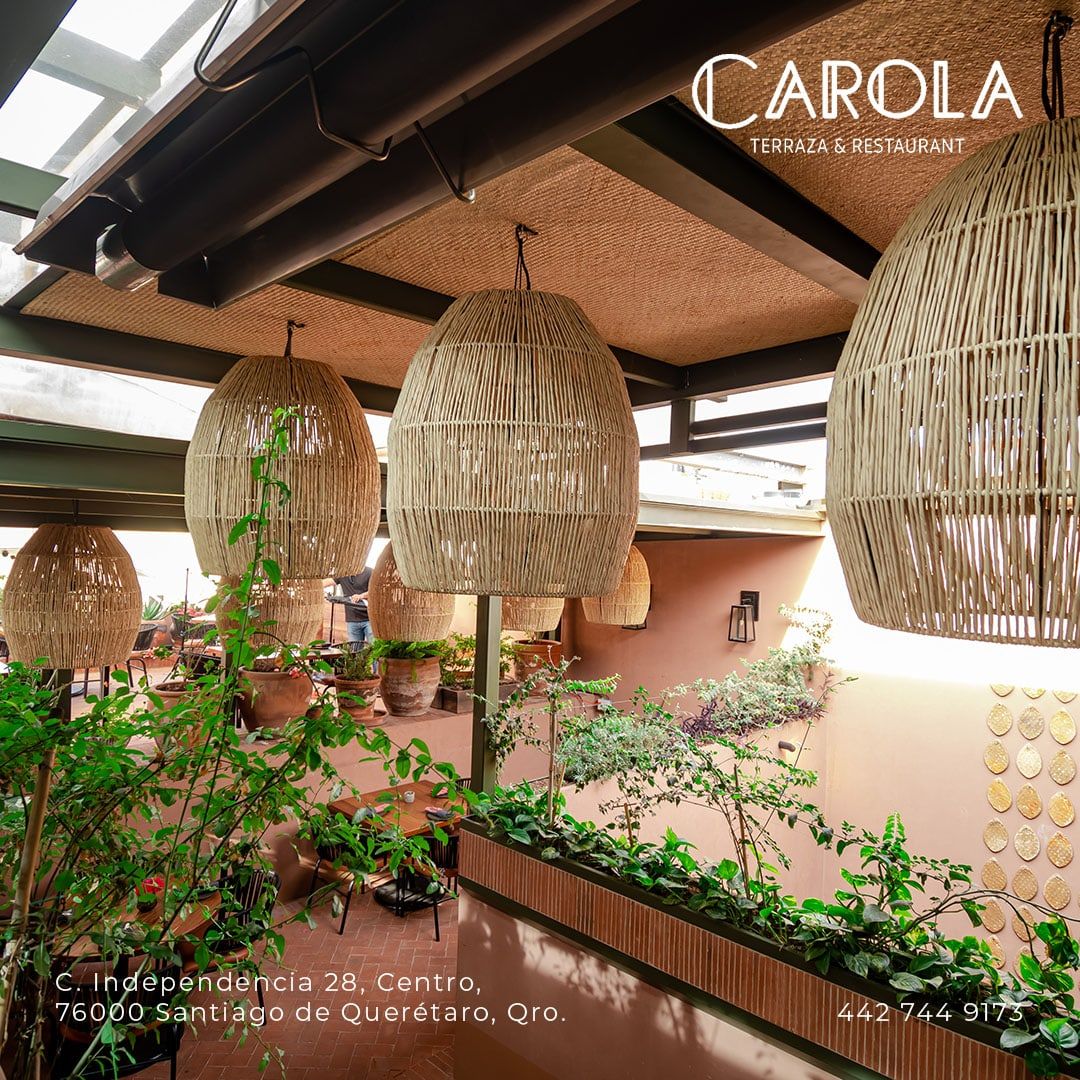 Carola Terraza: pieza 5 del proyecto