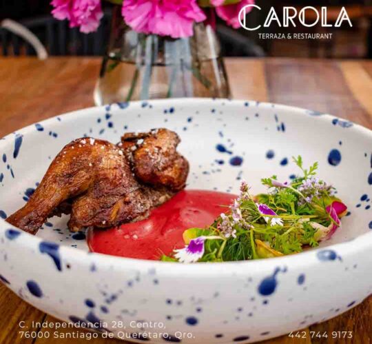 fotos de platillos queretaro