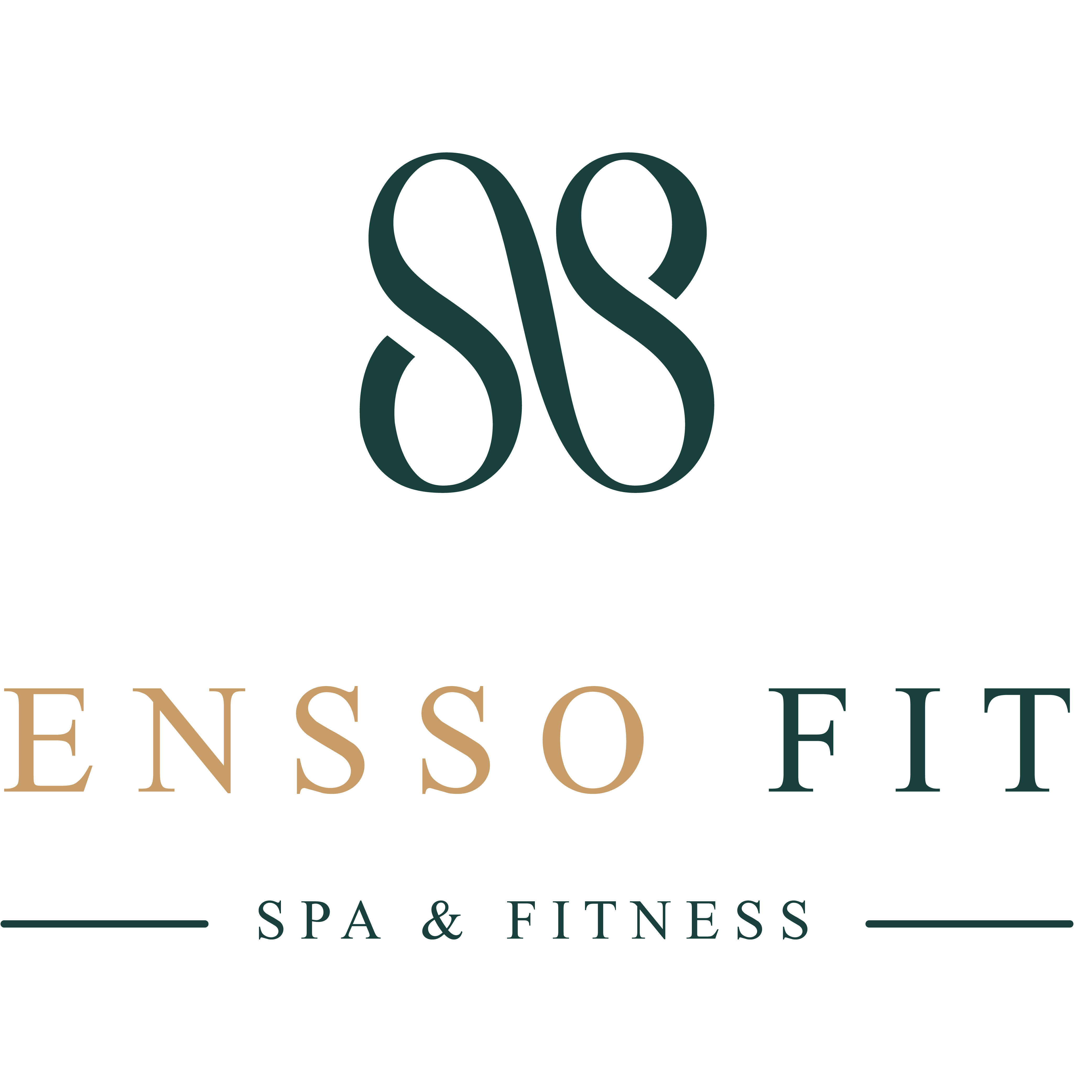 diseño de logo en queretaro